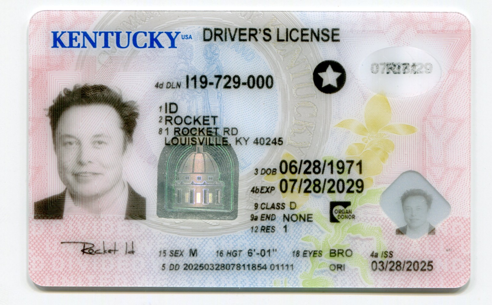 Kentucky (POLY)